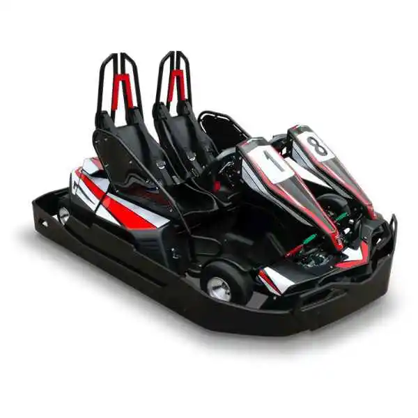 Best 2 Seater Go Kart For Adults Dual Seat Rental And Racing Karts 